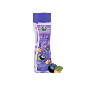 HOLLYWOOD STYLE | SHAMPOO 355ML (DRY HAIR)